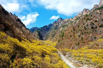 老界岭旅游度假区第 17 张图片