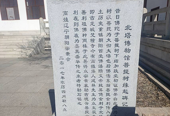 朝阳市北塔博物馆第 14 张图片