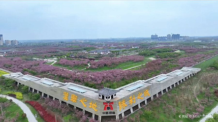 固镇樱花园第 1 张图片