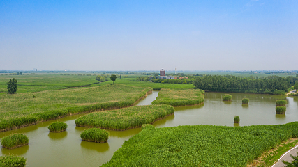山东文旅马踏湖旅游区第 10 张图片