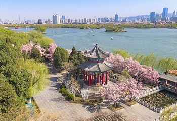 大明湖景区第 10 张图片
