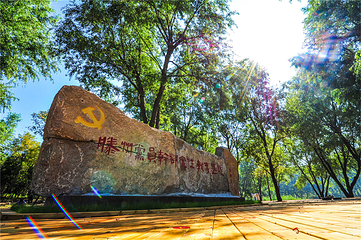 滕州微山湖红荷湿地第 62 张图片