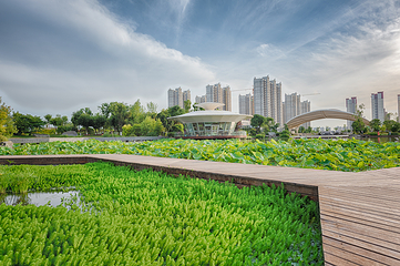 西安植物园新区第 7 张图片