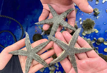 疍家赶海湾第 10 张图片