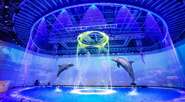 《海豚奇缘》演出