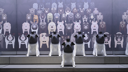 熊猫猪猪两头乌国际牧场第 80 张图片