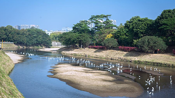 观澜河湿地公园
