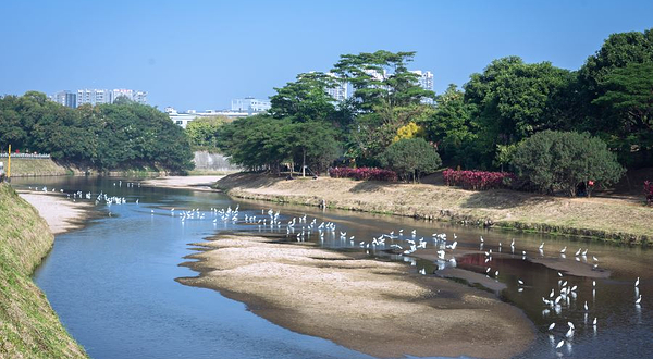 观澜河湿地公园