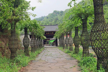青峰大裂谷景区第 40 张图片
