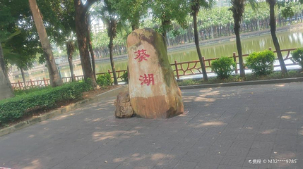 葵湖公园第 1 张图片
