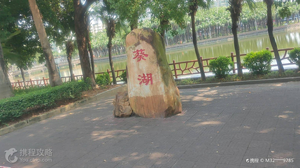 葵湖公园第 2 张图片