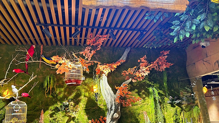 蓝小鸭萌宠乐园(万达广场惠州大亚湾店)第 31 张图片
