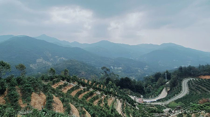 凤凰山乌岽顶第 1 张图片
