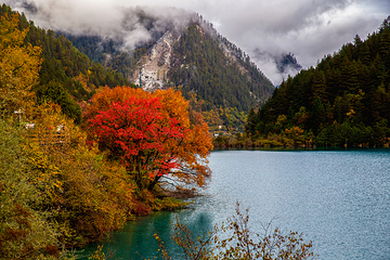 九寨沟风景区第 258 张图片
