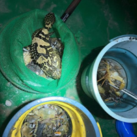 鲸鱼浮潜·冲浪·赶海俱乐部(神州半岛店)