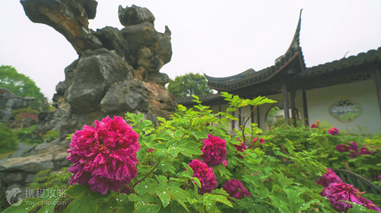 花洲书院第 2 张图片