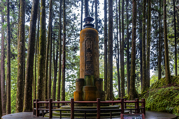 阿里山国家风景区第 41 张图片