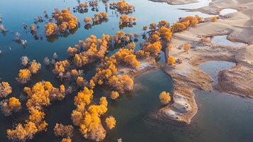 库尔勒尉犁县葫芦岛景区