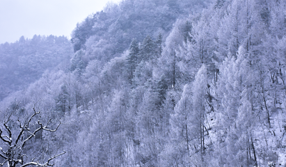 龙降坪国际滑雪场第 50 张图片