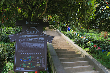 茶溪谷第 103 张图片