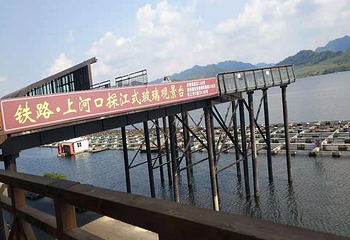凤上线第 29 张图片