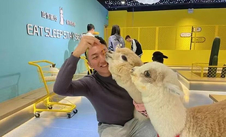 神兽·羊驼主题馆(万达广场经四路店)