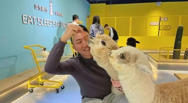 神兽·羊驼主题馆(万达广场经四路店)