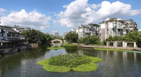 湖州小市河探索游