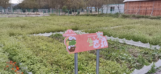 温岭田园牧歌旅游度假区第 17 张图片