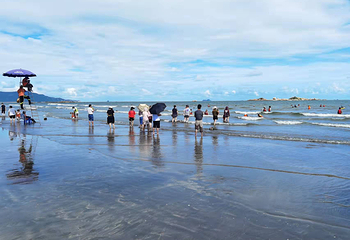 台山黑沙湾海浴场第 13 张图片