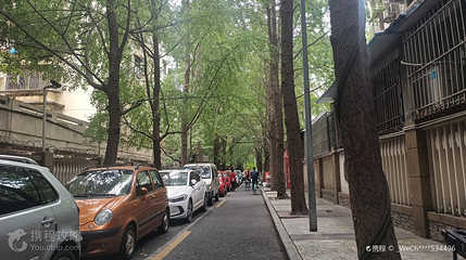 锦绣巷第 4 张图片