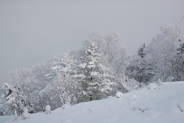鳌山滑雪度假区第 24 张图片