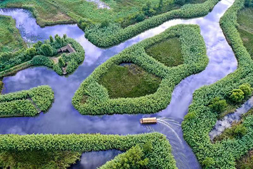 泗洪洪泽湖湿地景区第 30 张图片