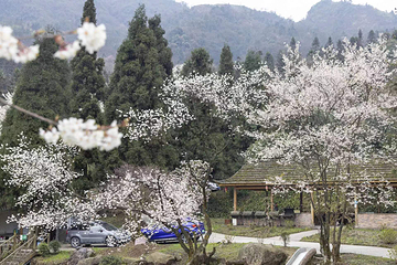 汶川无忧谷第 45 张图片
