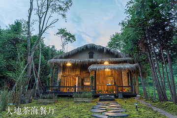大地茶海餐厅第 7 张图片