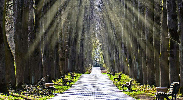 桤木河湿地公园