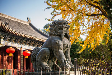 岱庙第 7 张图片