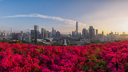 莲花山公园第 12 张图片