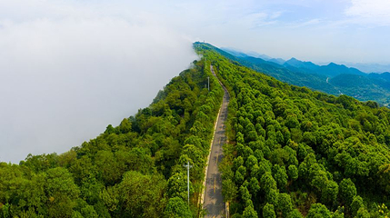 云龟山景区第 1 张图片