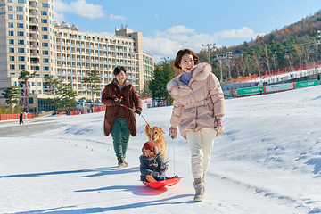 凤凰雪上公园第 15 张图片