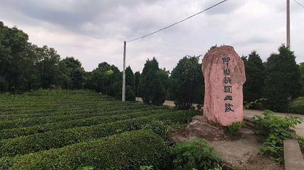 印山越国王陵文化旅游区第 1 张图片