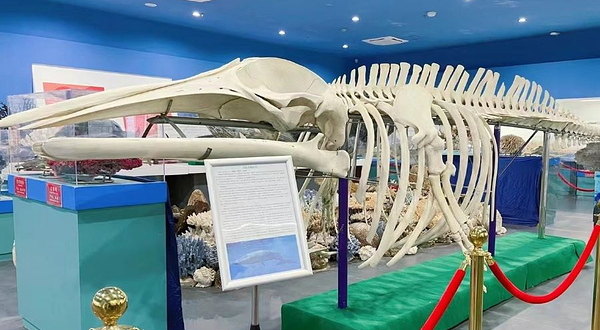 上海长兴岛博物馆