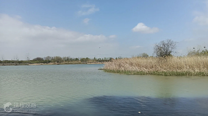 肥东管湾国家湿地公园第 4 张图片