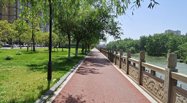 化成洲湿地公园