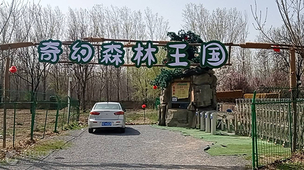 奇幻森林王国第 3 张图片