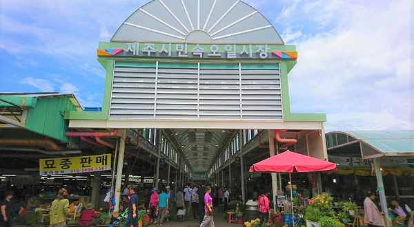 济州民俗五日市场