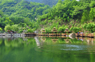 九如山休闲旅游度假区第 167 张图片