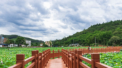莲塘村第 1 张图片
