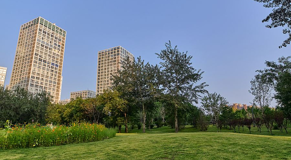 CBD城市森林公园