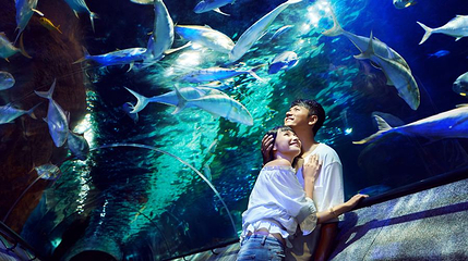 海底隧道第 1 张图片